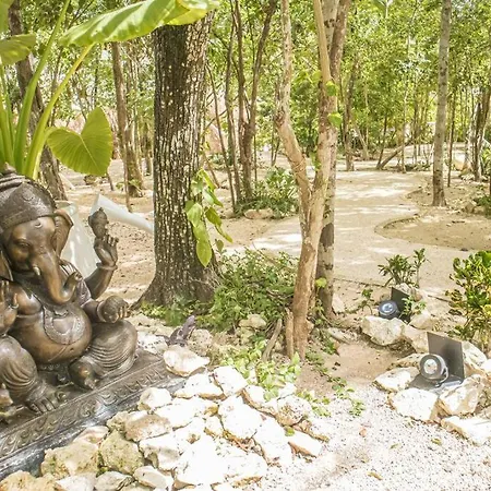 Appartement Tranquil Loft In The Heart Of Tulum With Private Balcony
